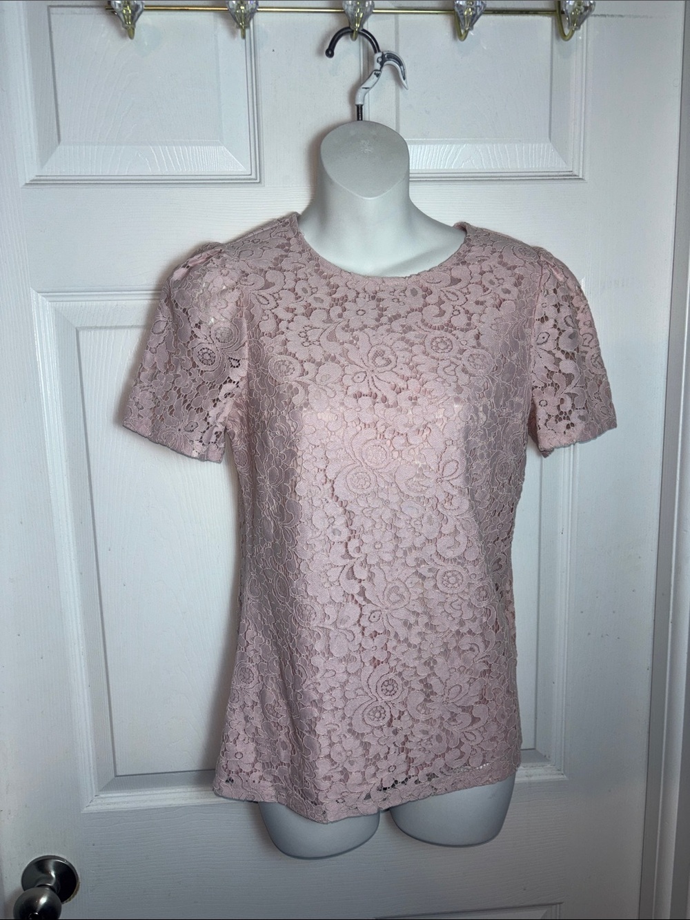 Express Blush Pink Floral Lace Top with clasp back Feminine Classic Size XS